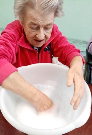 Senecura dom za starije