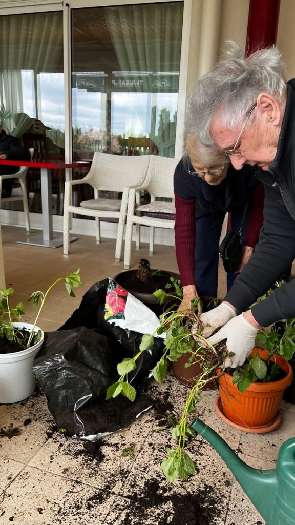 Senecura dom za starije