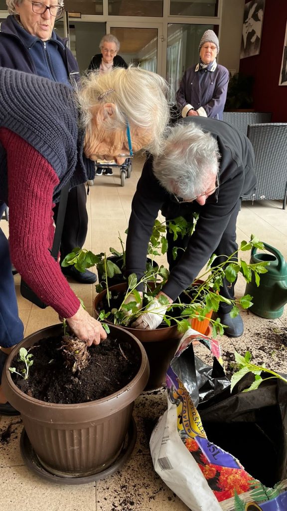 Senecura dom za starije