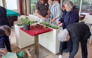 Senecura dom za starije