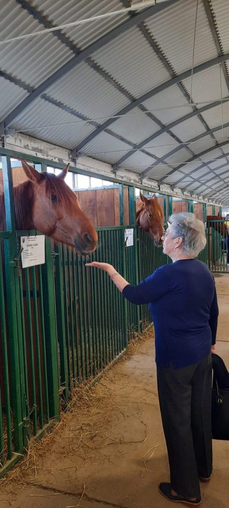 Senecura dom za starije