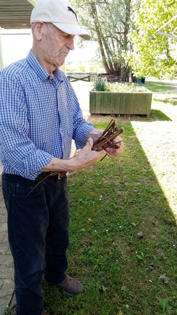 Senecura dom za starije