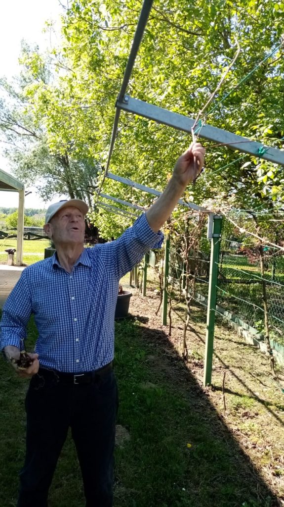 Senecura dom za starije