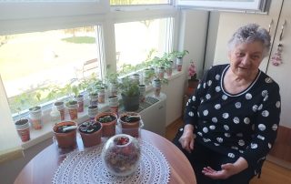 Senecura dom za starije