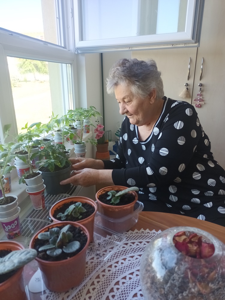 Senecura dom za starije