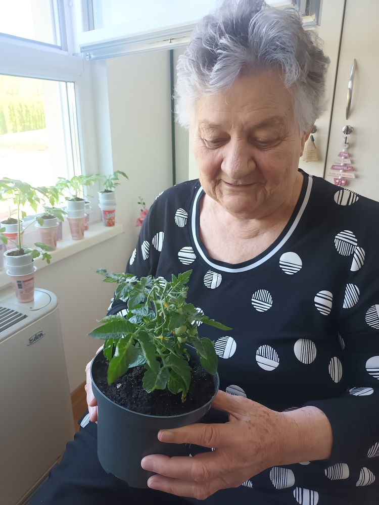 Senecura dom za starije