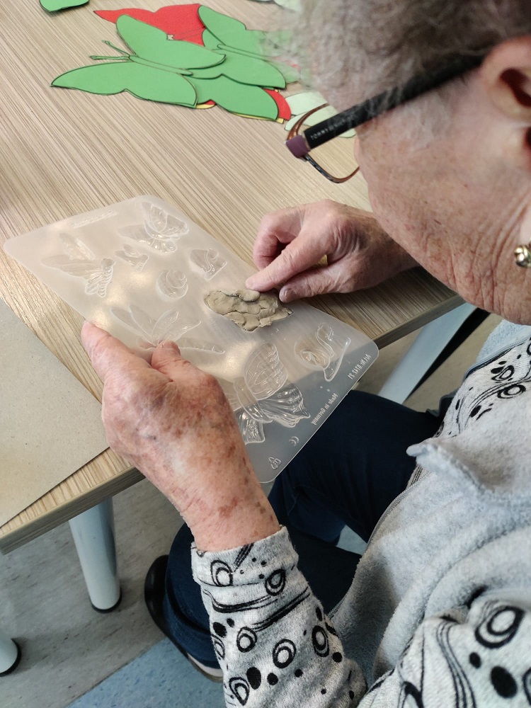 Senecura dom za starije