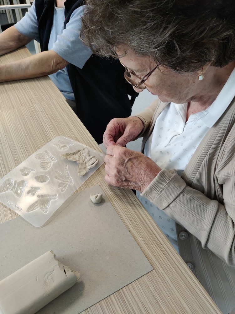 Senecura dom za starije