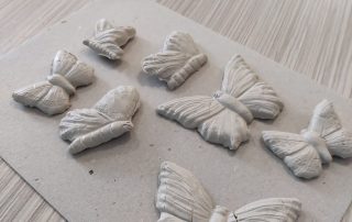 Senecura dom za starije