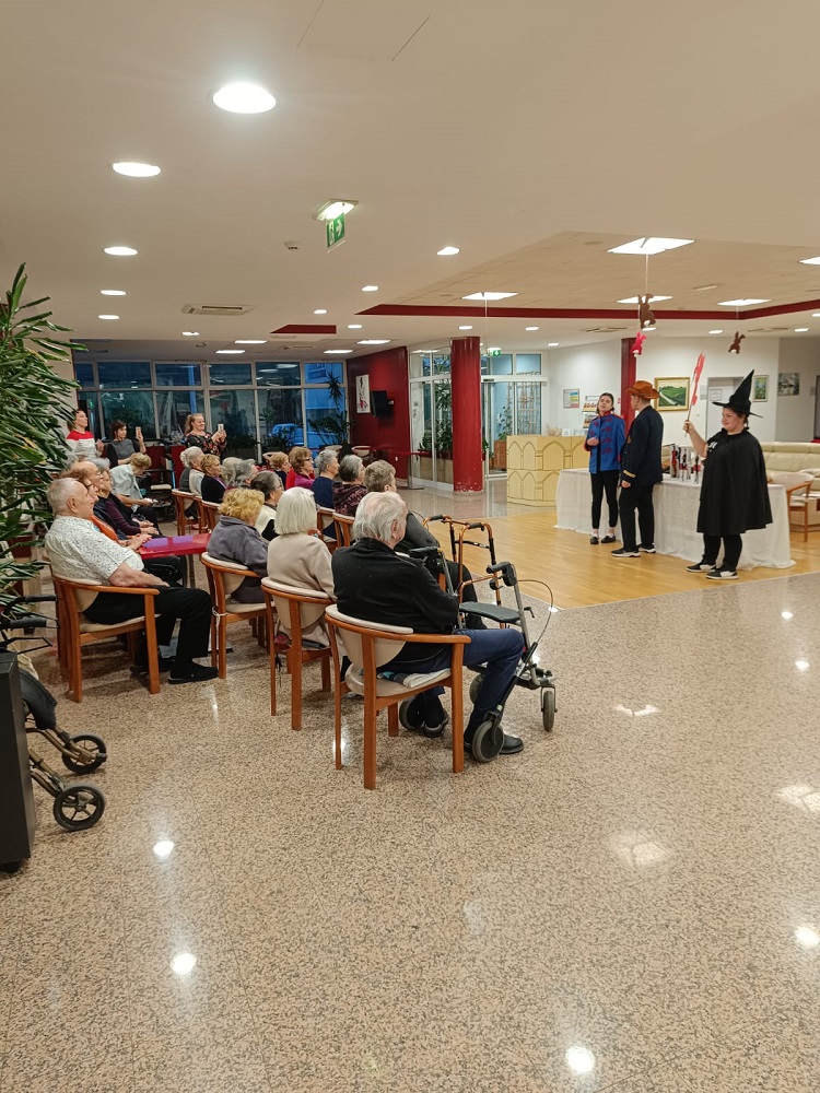 Senecura dom za starije