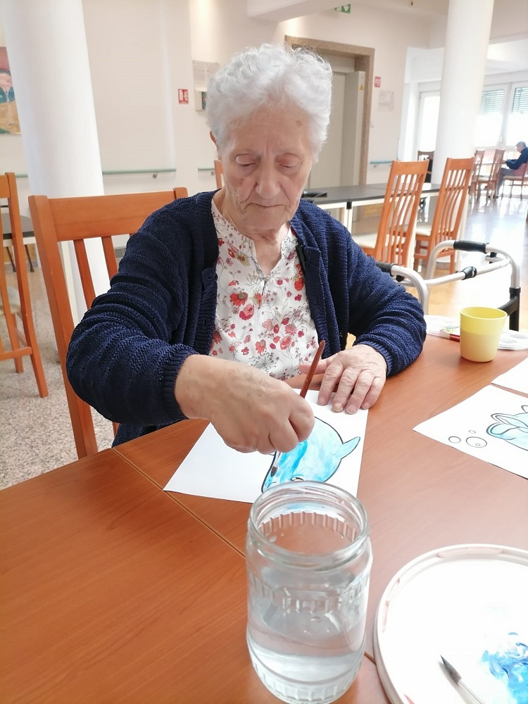 Senecura dom za starije