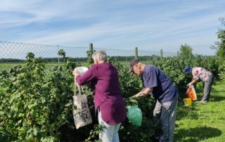 Senecura dom za starije