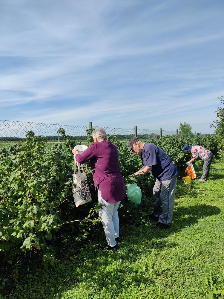 Senecura dom za starije