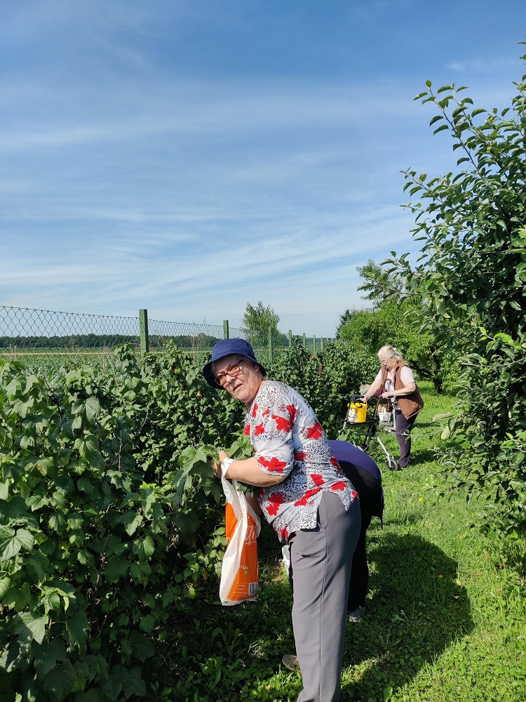 Senecura dom za starije