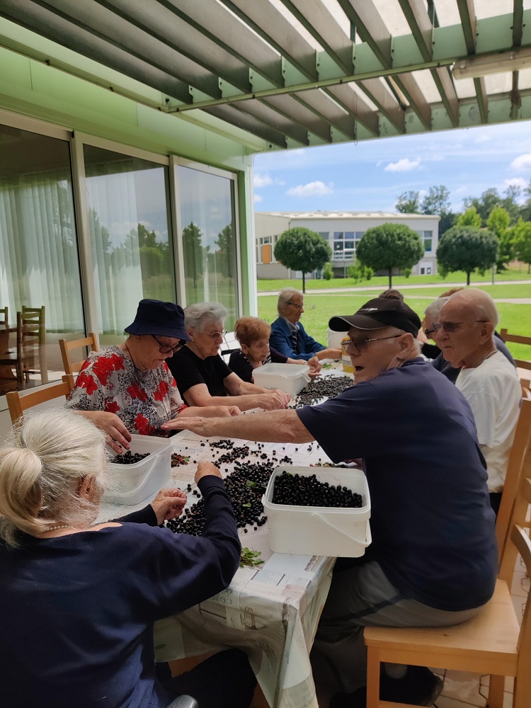 Senecura dom za starije