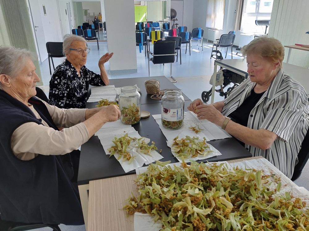 Senecura dom za starije