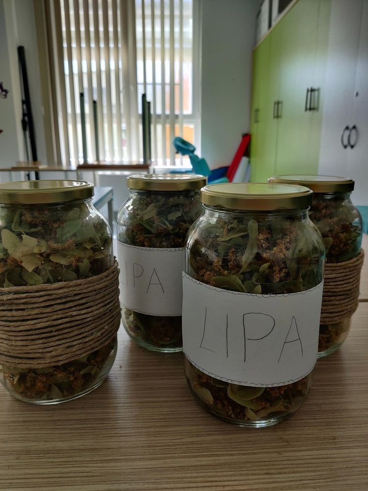 Senecura dom za starije