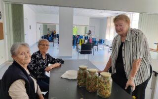 Senecura dom za starije