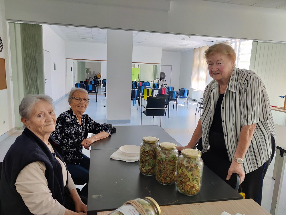 Senecura dom za starije