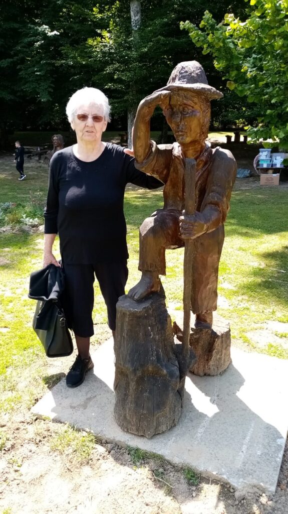 Senecura dom za starije