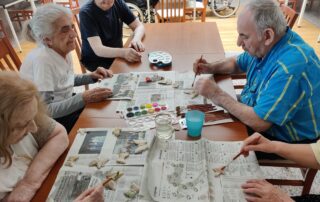 Senecura dom za starije