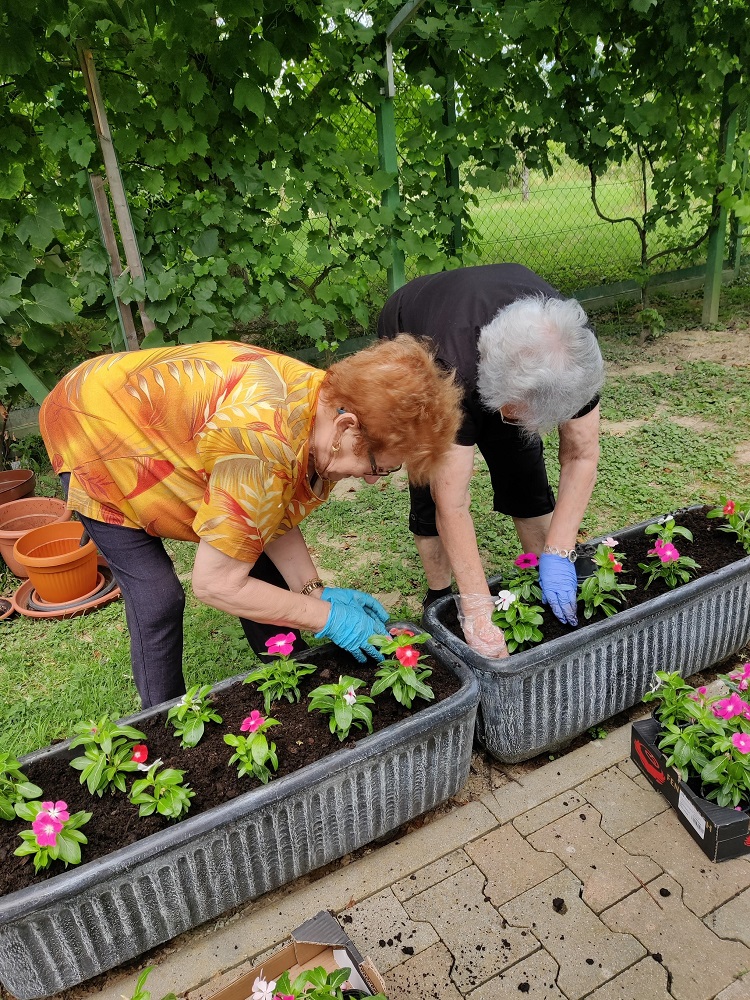 Senecura dom za starije