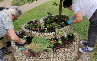 Senecura dom za starije