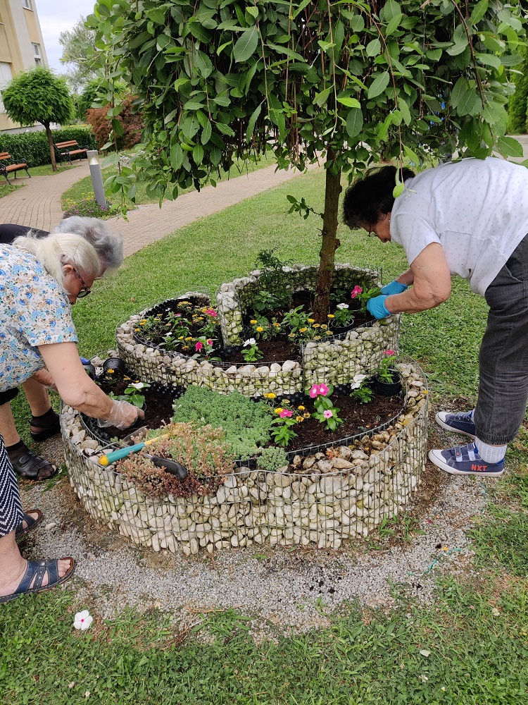 Senecura dom za starije