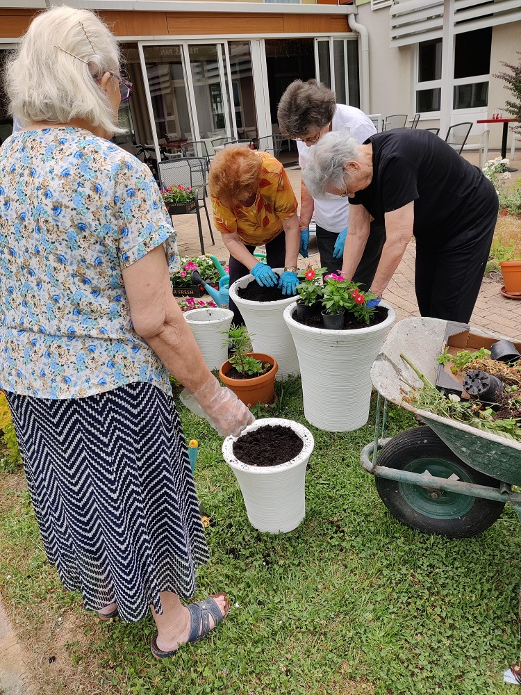 Senecura dom za starije
