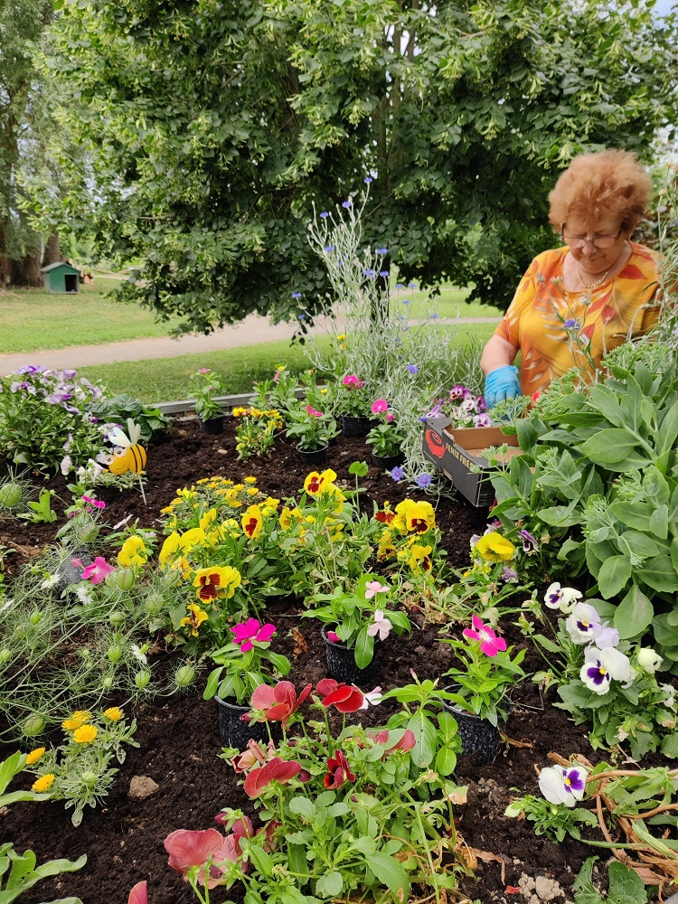 Senecura dom za starije