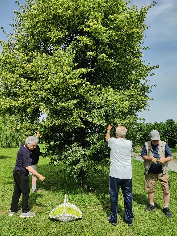 Senecura dom za starije