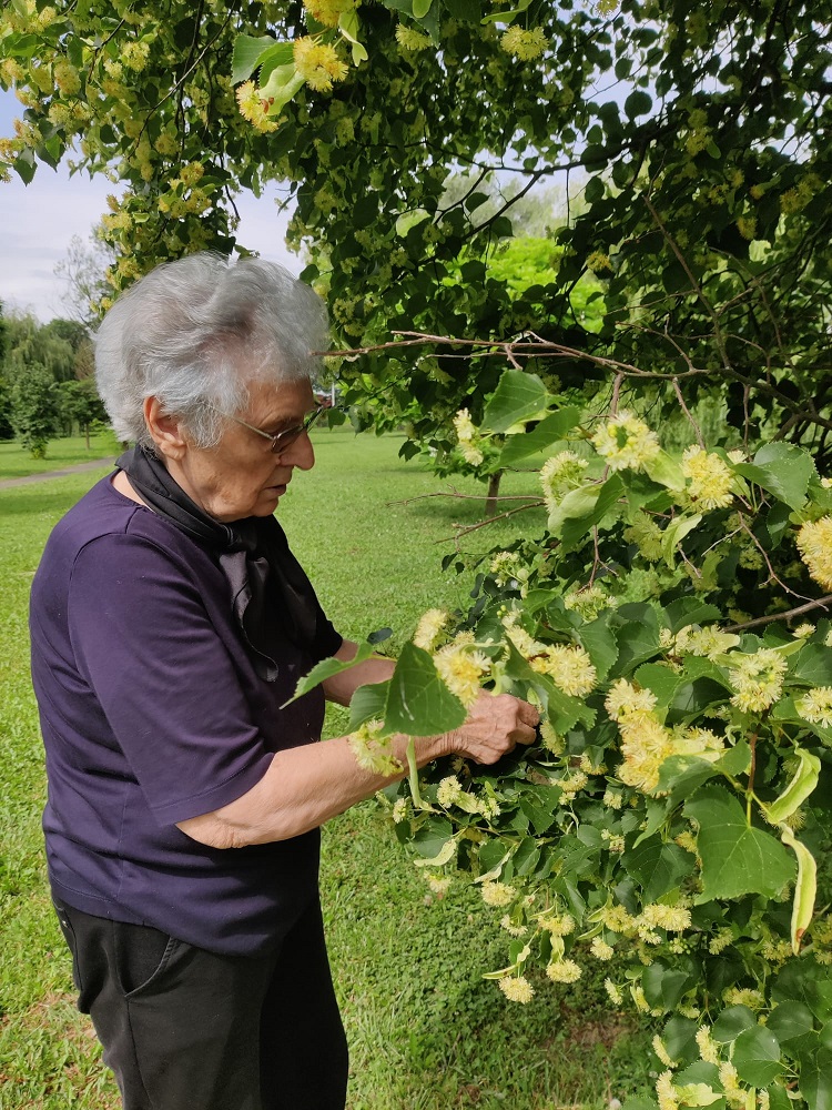 Senecura dom za starije
