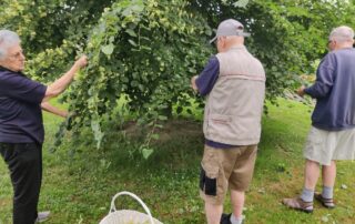 Senecura dom za starije