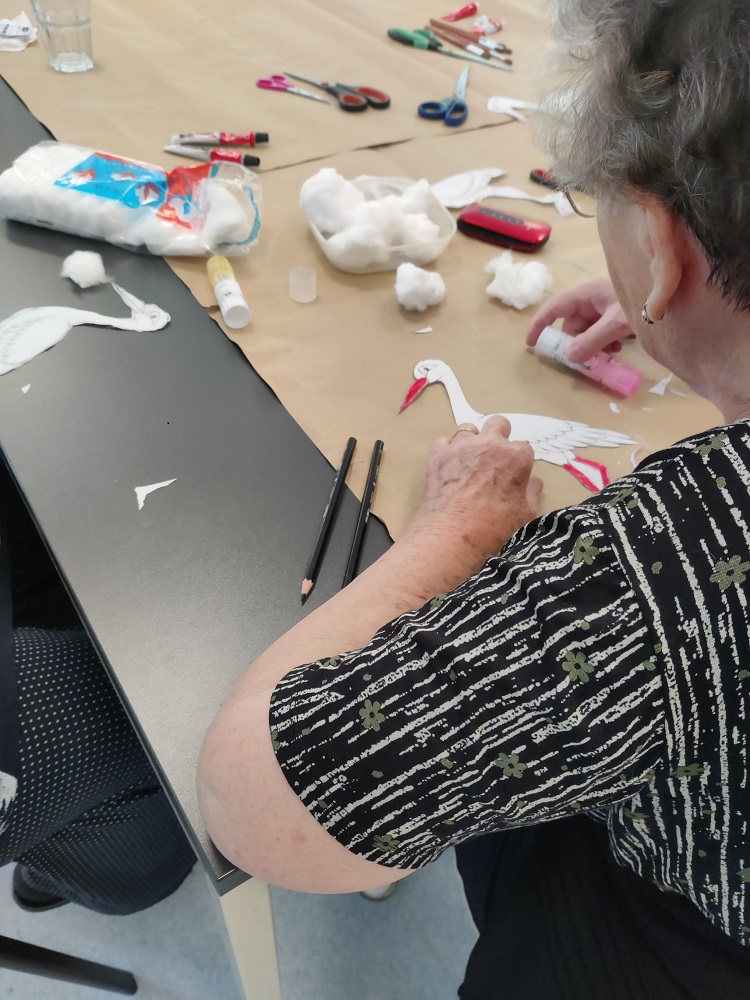 Senecura dom za starije