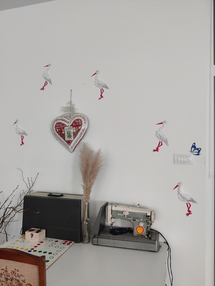 Senecura dom za starije