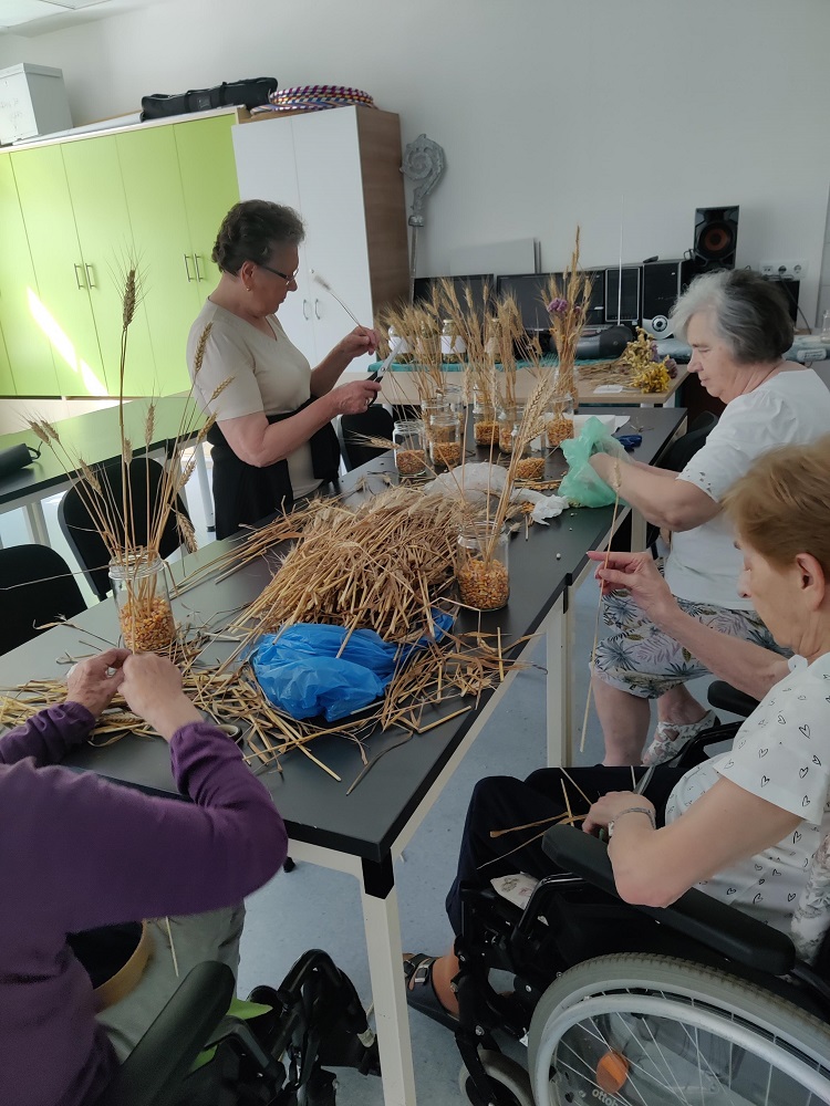 Senecura dom za starije