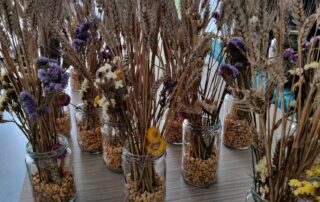 Senecura dom za starije