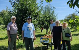 Senecura dom za starije