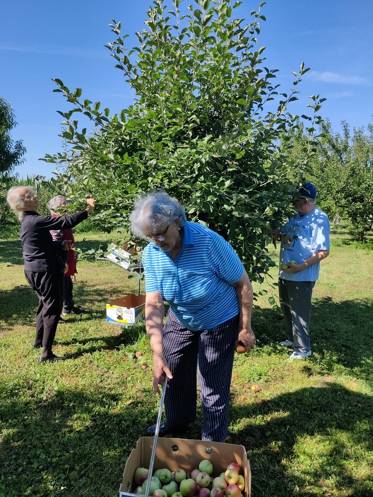 Senecura dom za starije
