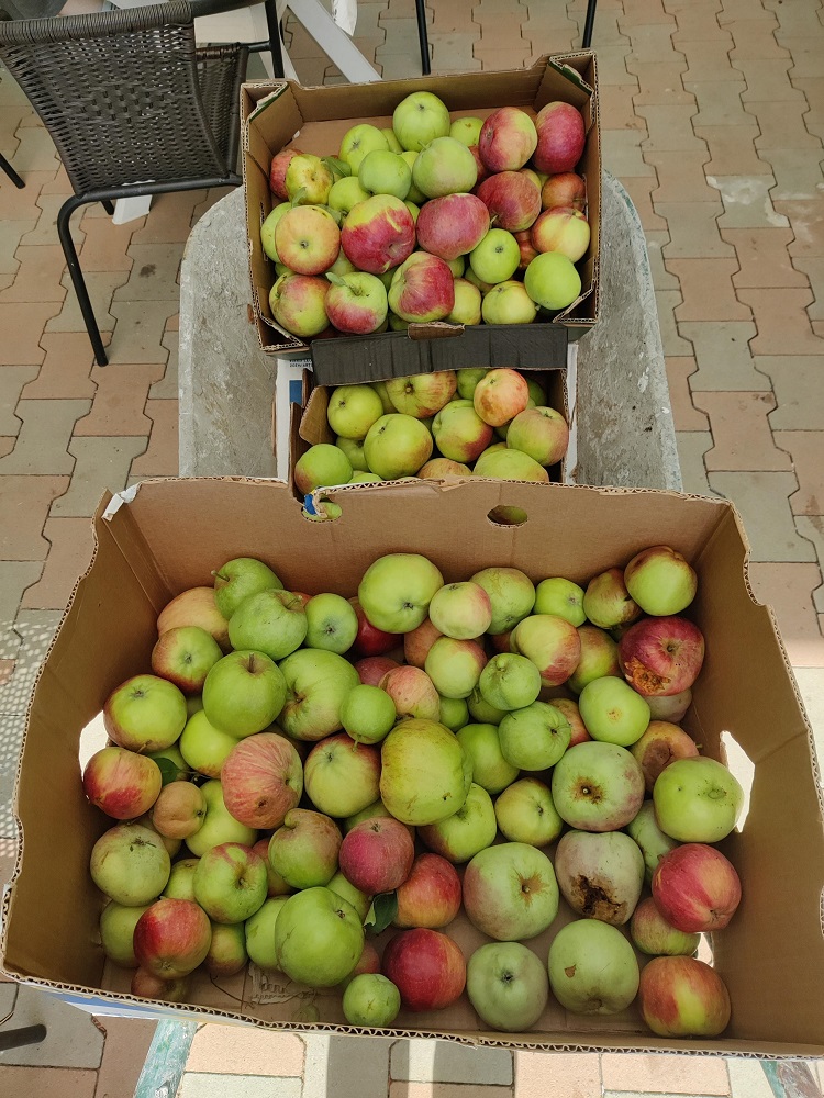 Senecura dom za starije