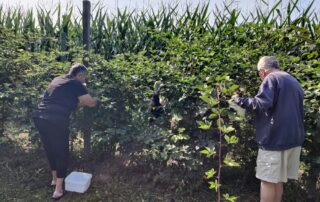 Senecura dom za starije