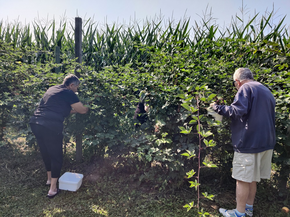 Senecura dom za starije