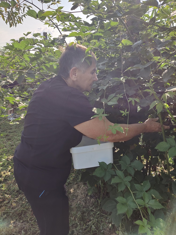 Senecura dom za starije