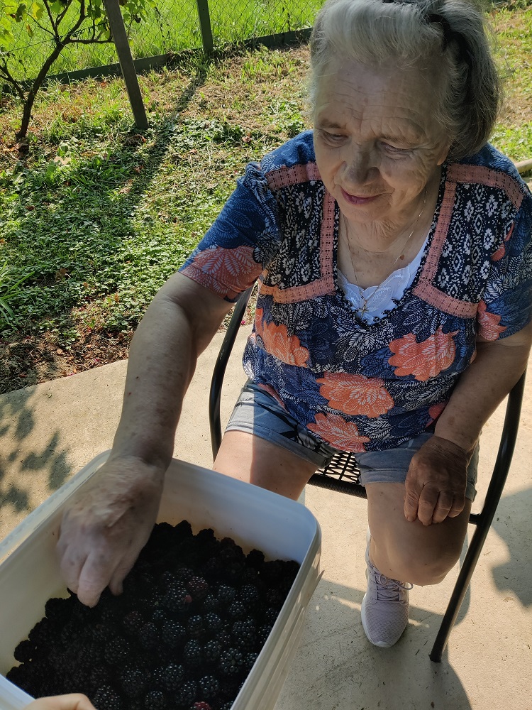 Senecura dom za starije