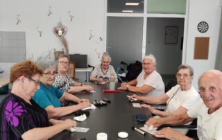 Senecura dom za starije