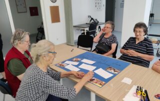 Senecura dom za starije