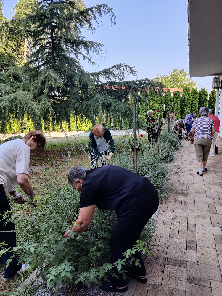 Senecura dom za starije