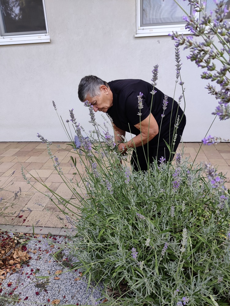 Senecura dom za starije