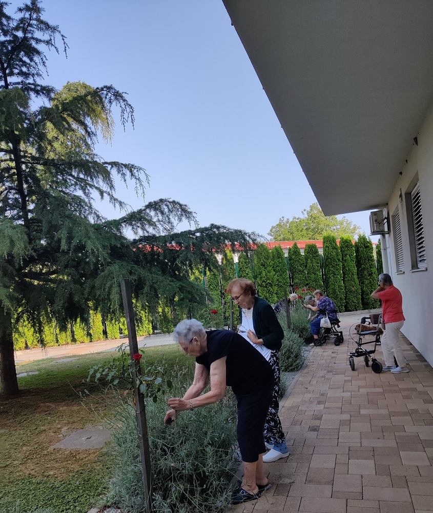 Senecura dom za starije