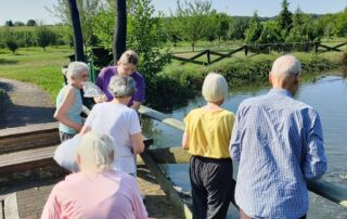 Senecura dom za starije